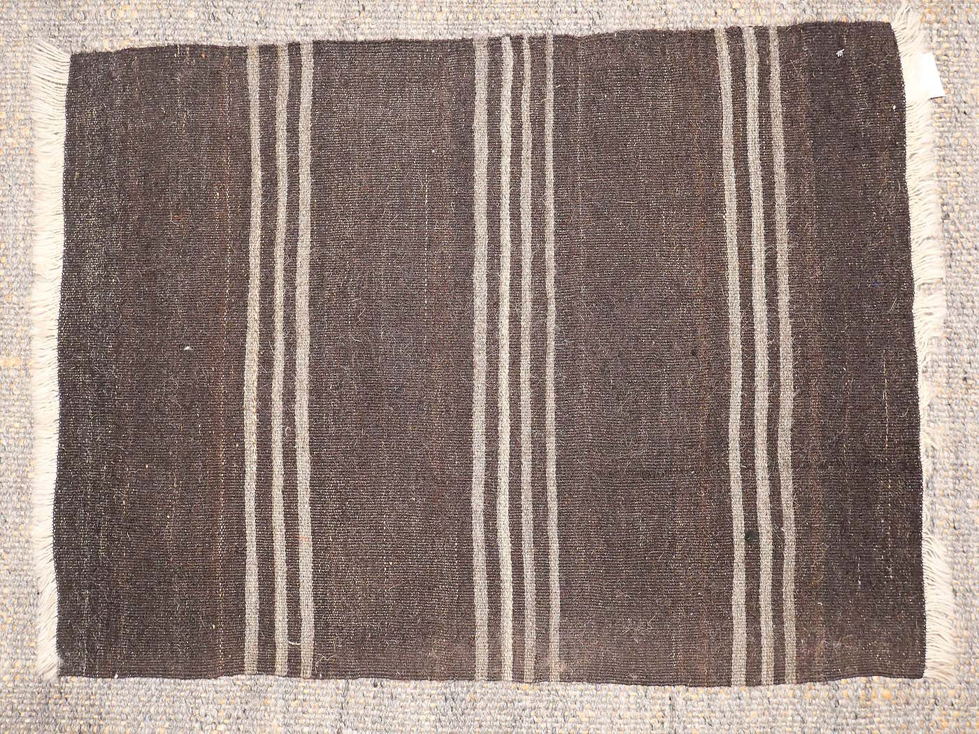 Chèvre 74x98cm