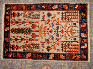 Chobi 67x96cm