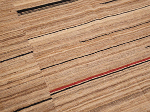 Mazand 259x295cm